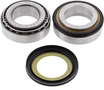 ALL BALLS LAGER, BALHOOFD STEERING BEARING KIT 22-1055