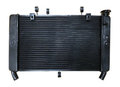 Yamaha Radiator MT-09 2014-2016